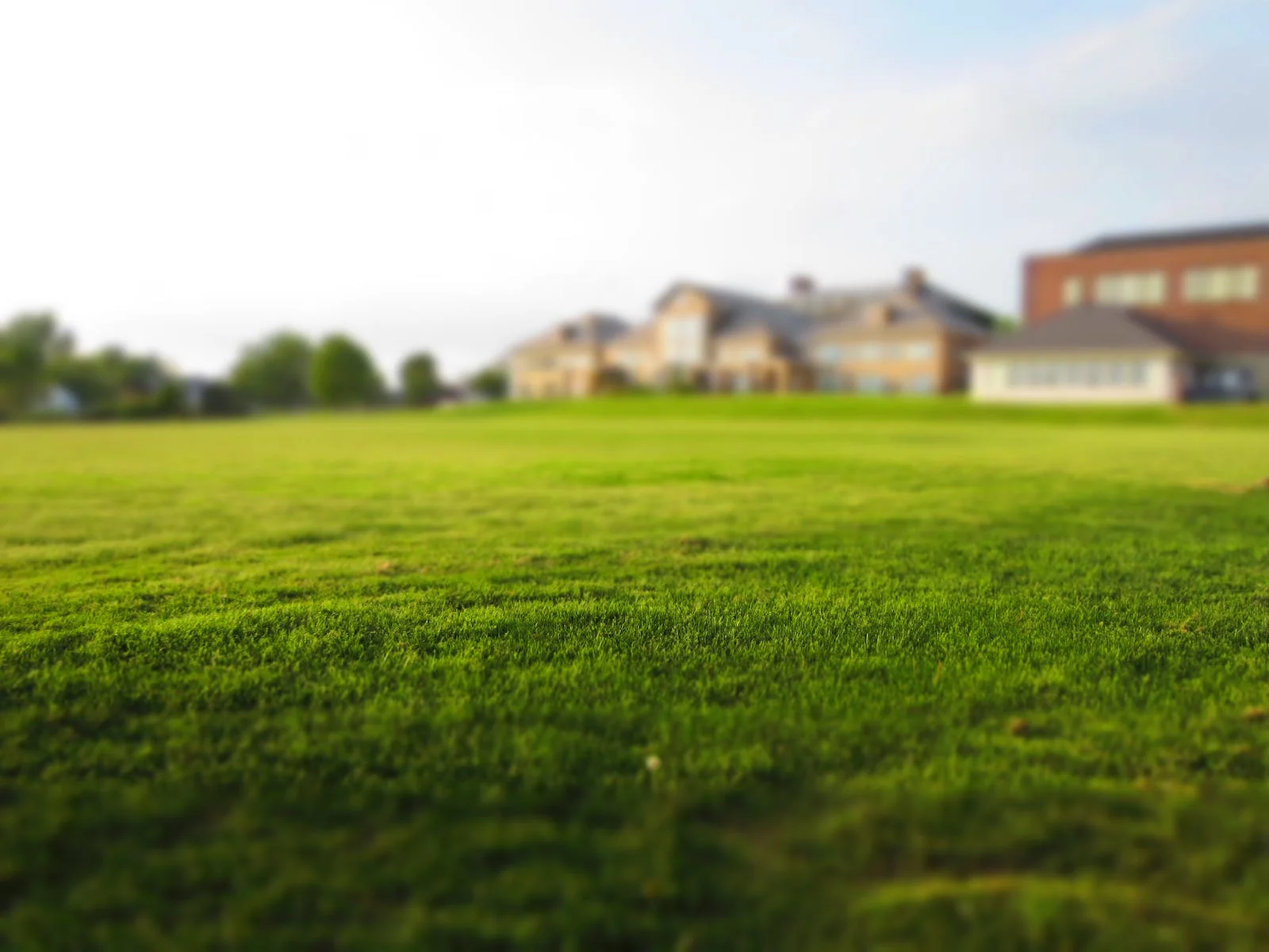 Freshly mowed lawn in the Whitsundays
