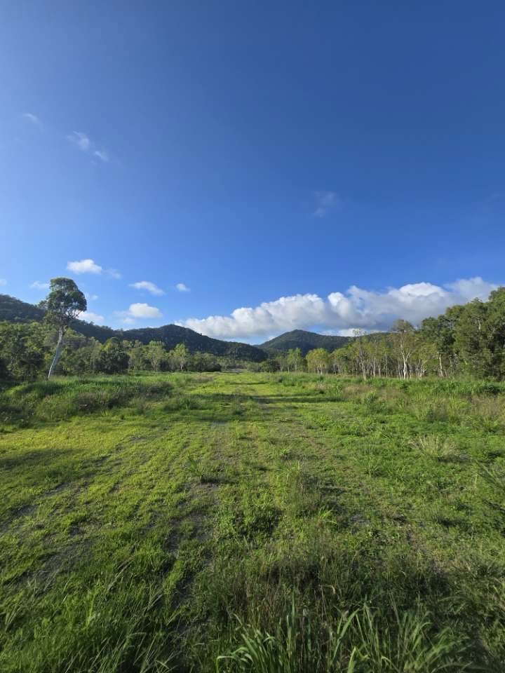Overgrown rural paddock in the Whitsundays before mowing